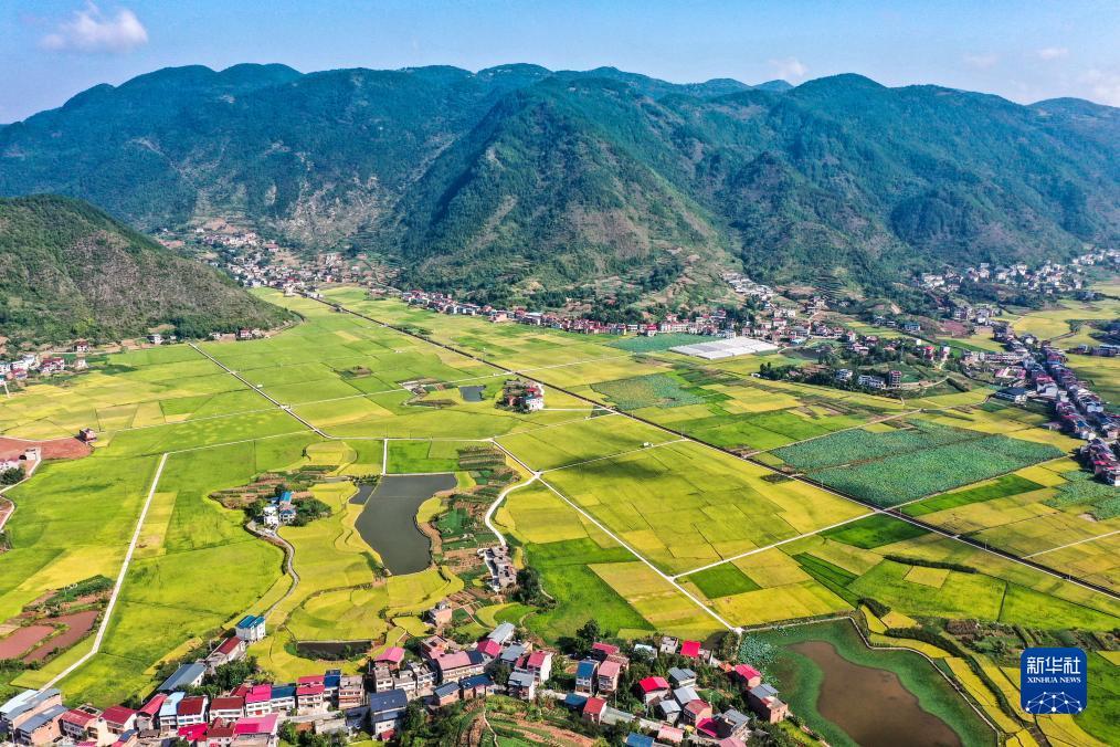 威尼斯下载地址